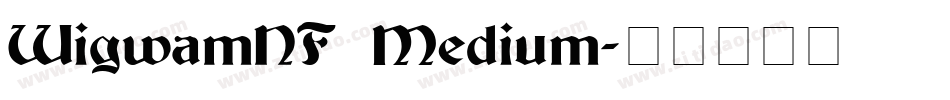 WigwamNF Medium字体转换
